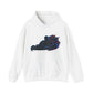 Racing Kart Hoodie Unisex – Neon Drift Go-Kart Silhouette Pullover